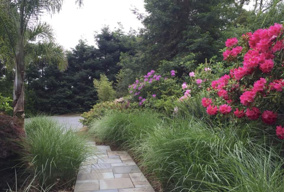 Silicon Valley Woodside Retreat in the Redwoods - Woodside, California