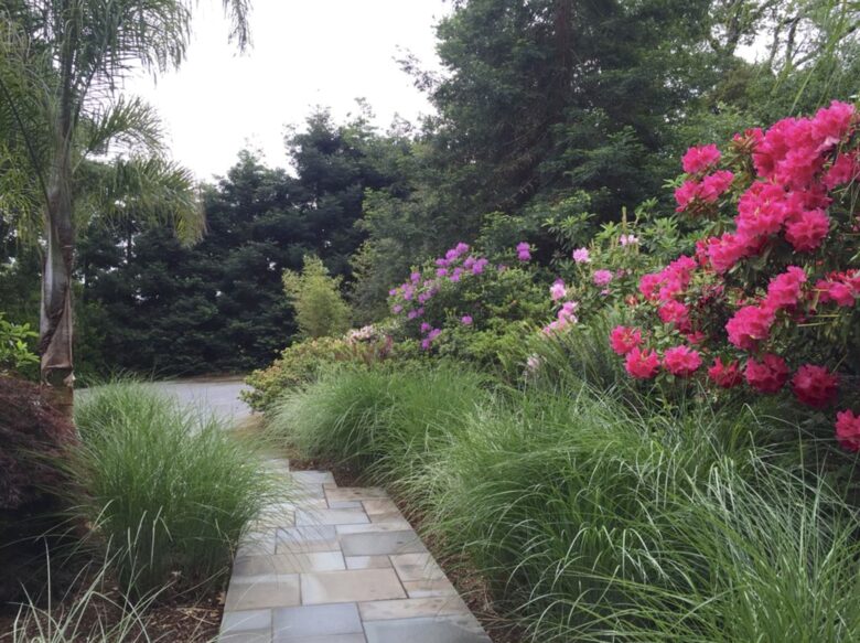 Silicon Valley Woodside Retreat in the Redwoods - Woodside, California