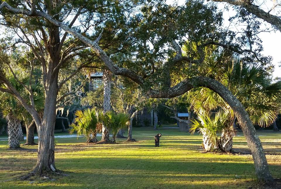 Beautiful Grace Point Cape Romain - McClellanville, South Carolina