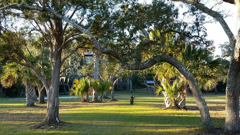 Beautiful Grace Point Cape Romain - McClellanville, South Carolina