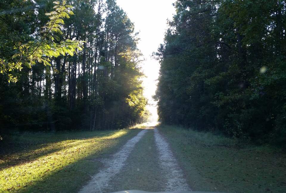 Beautiful Grace Point Cape Romain - McClellanville, South Carolina