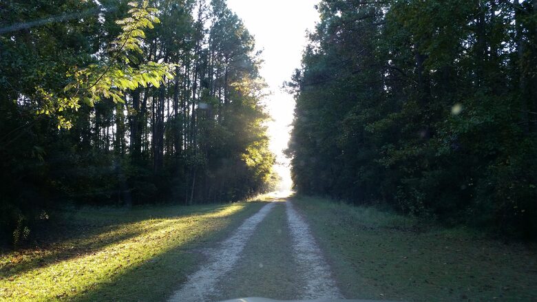 Beautiful Grace Point Cape Romain - McClellanville, South Carolina