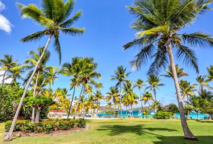 Sea La Vie - St Thomas, Virgin Islands, U.S.