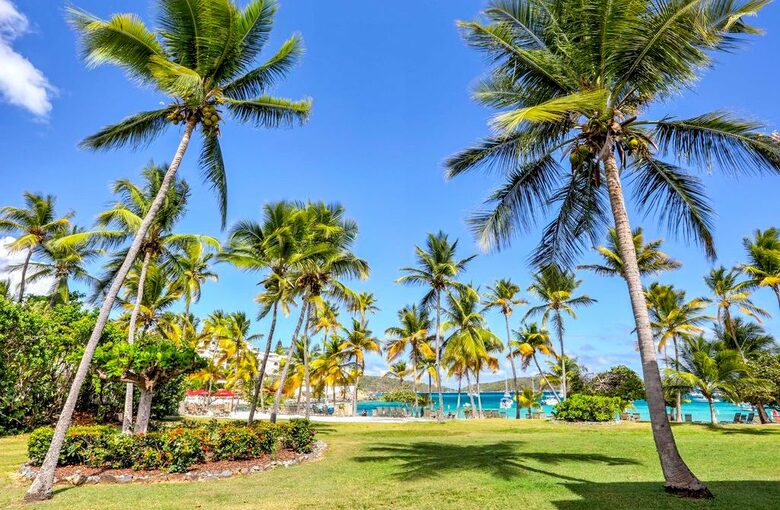 Sea La Vie - St Thomas, Virgin Islands, U.S.