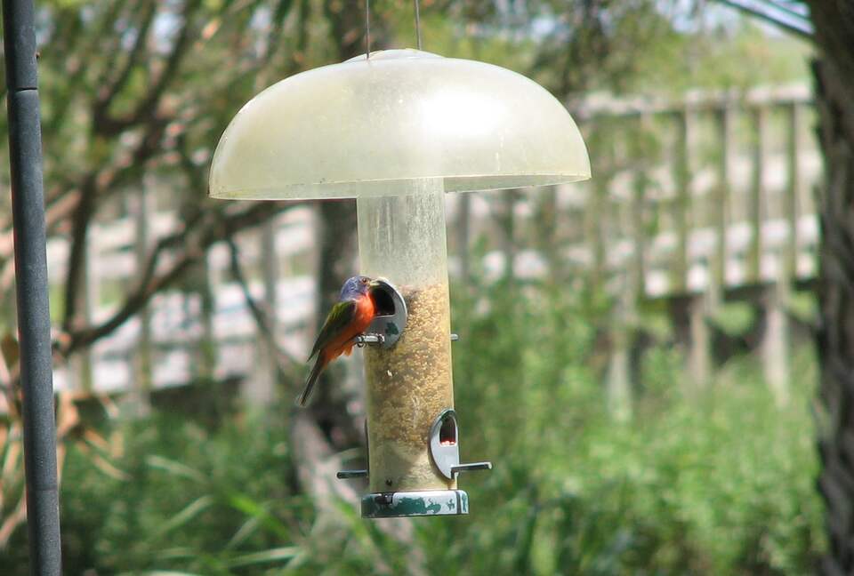 Beautiful Grace Point Cape Romain - McClellanville, South Carolina