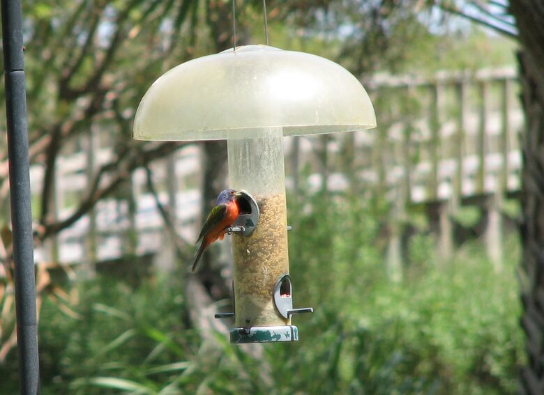 Beautiful Grace Point Cape Romain - McClellanville, South Carolina