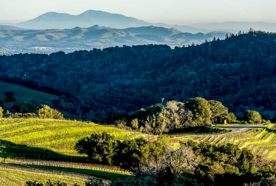 Mount Veeder Retreat - Napa, California
