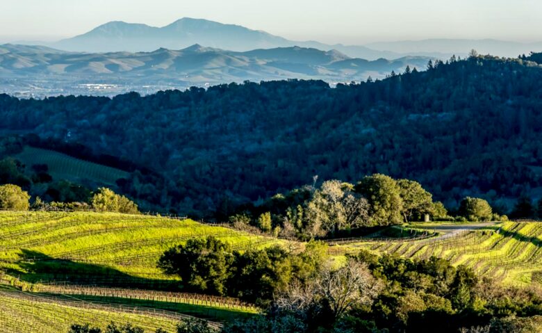 Mount Veeder Retreat - Napa, California