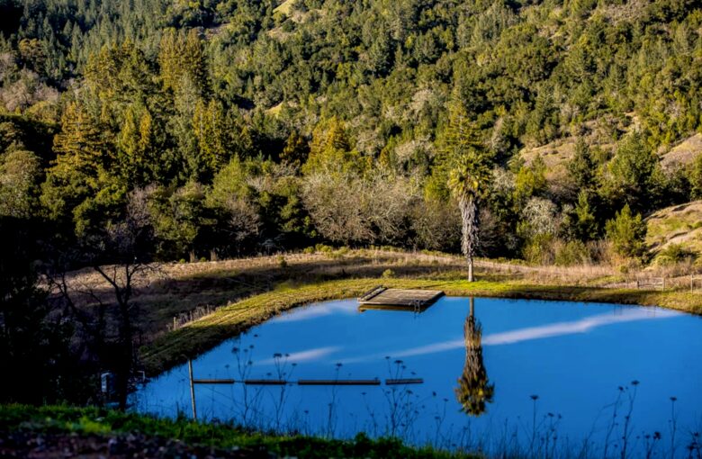 Mount Veeder Retreat - Napa, California