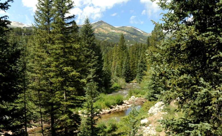 The River House - Breckenridge, Colorado
