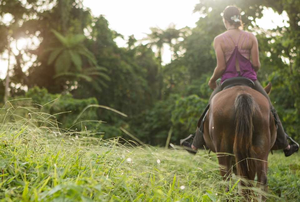Raiwasa Private Retreat - Taveuni Island, Fiji