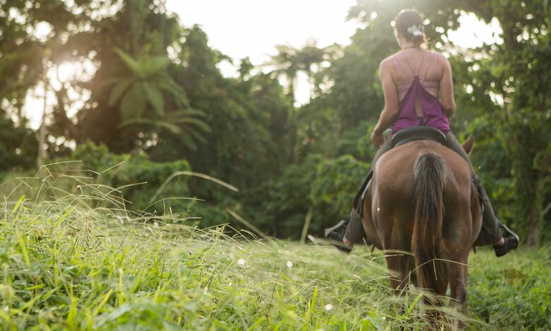 Raiwasa Private Retreat - Taveuni Island, Fiji