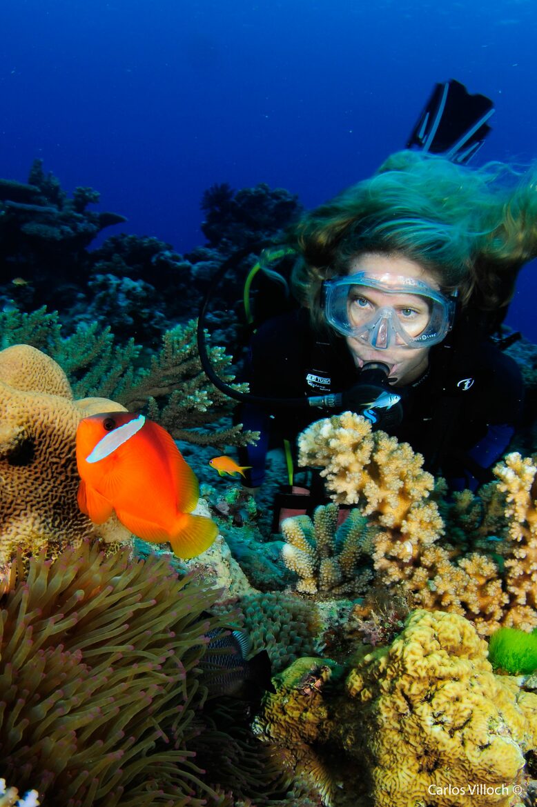 Raiwasa Private Retreat - Taveuni Island, Fiji