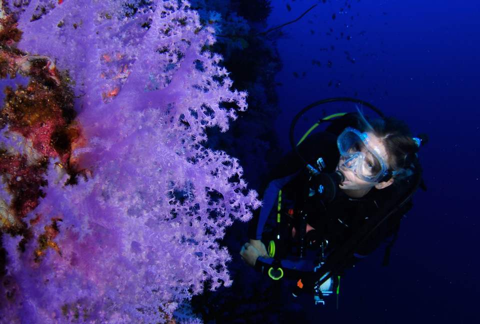 Raiwasa Private Retreat - Taveuni Island, Fiji