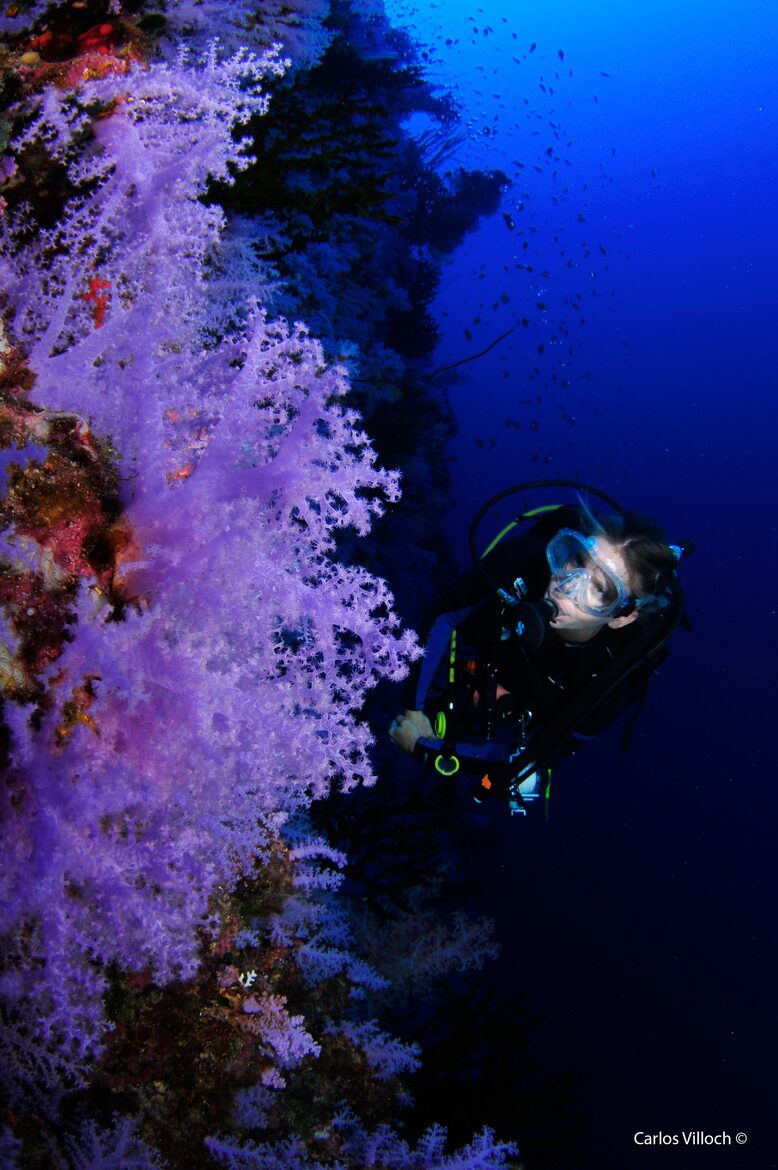 Raiwasa Private Retreat - Taveuni Island, Fiji