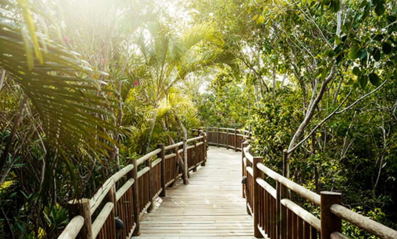 Vidanta Grand Luxxe Riviera Maya - Four Bedroom Residence - Playa del Carmen, Mexico