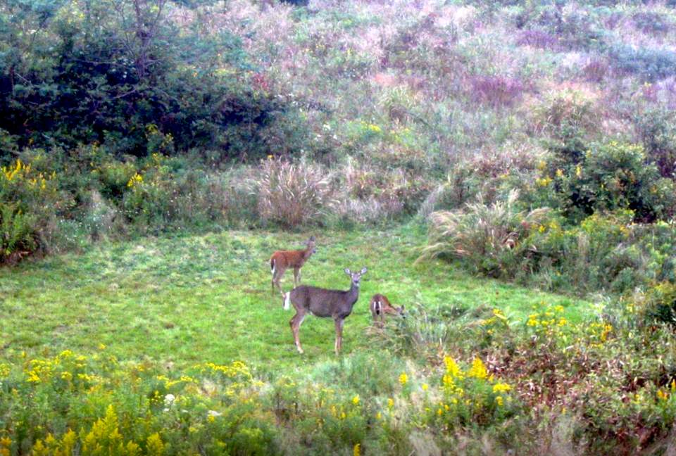 Martha's Vineyard Compound - Aquinnah, Massachusetts