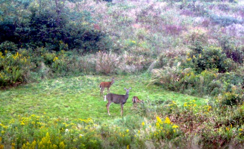 Martha's Vineyard Compound - Aquinnah, Massachusetts
