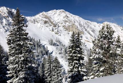 Silver Aspens Luxury Residence - Solitude, Utah
