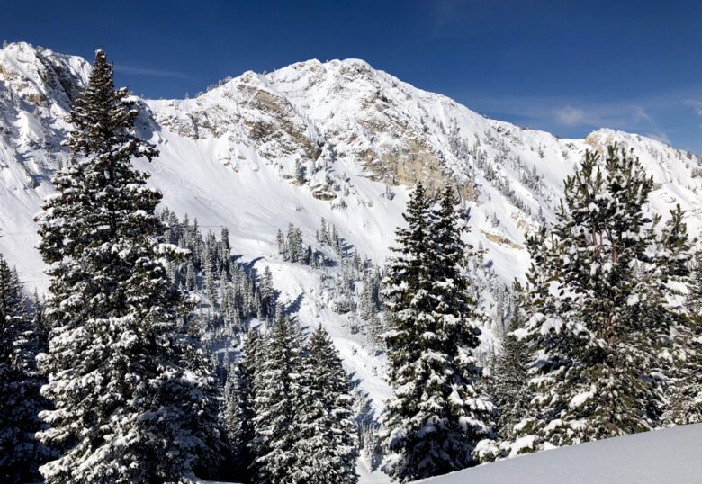 Silver Aspens Luxury Residence - Solitude, Utah