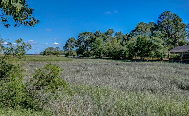 Black Tern Luxury - Hilton Head, South Carolina