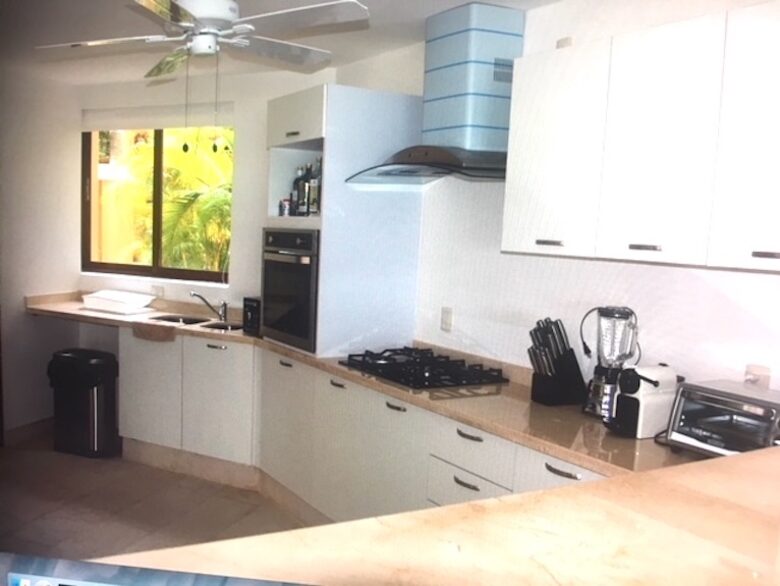 Pacific Paradise - Ixtapa de Azueta, Mexico