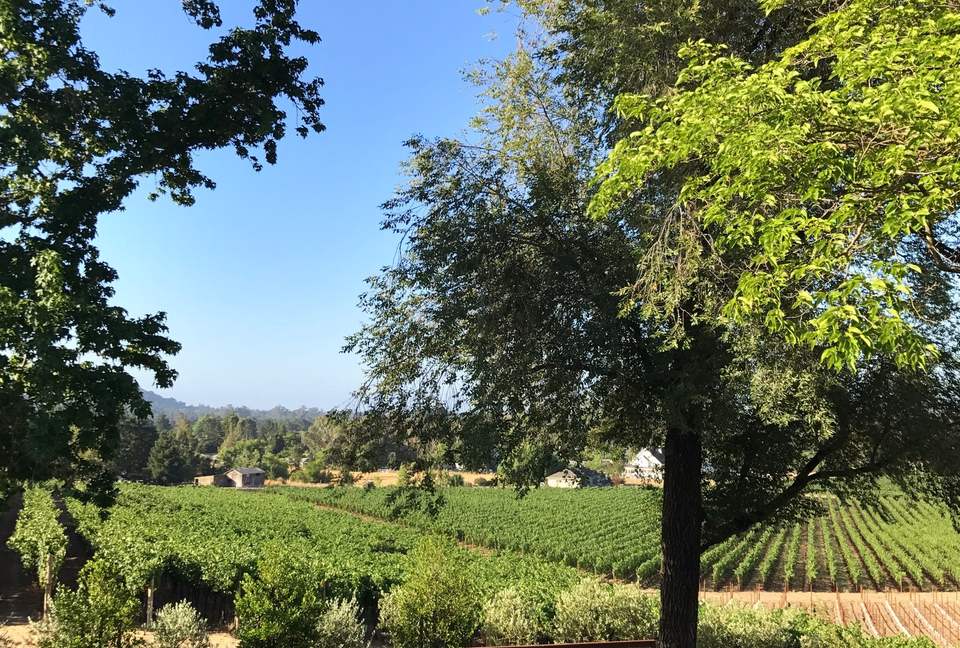 Napa Dream Retreat Guest House - Napa, California