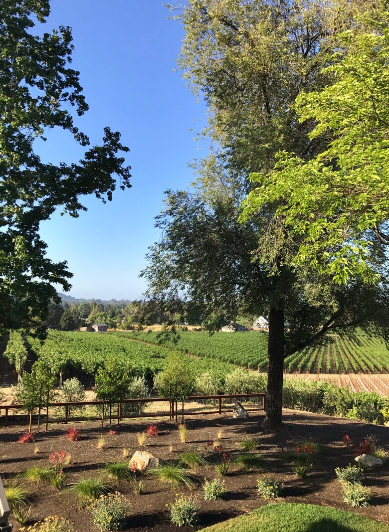 Napa Dream Retreat Guest House - Napa, California