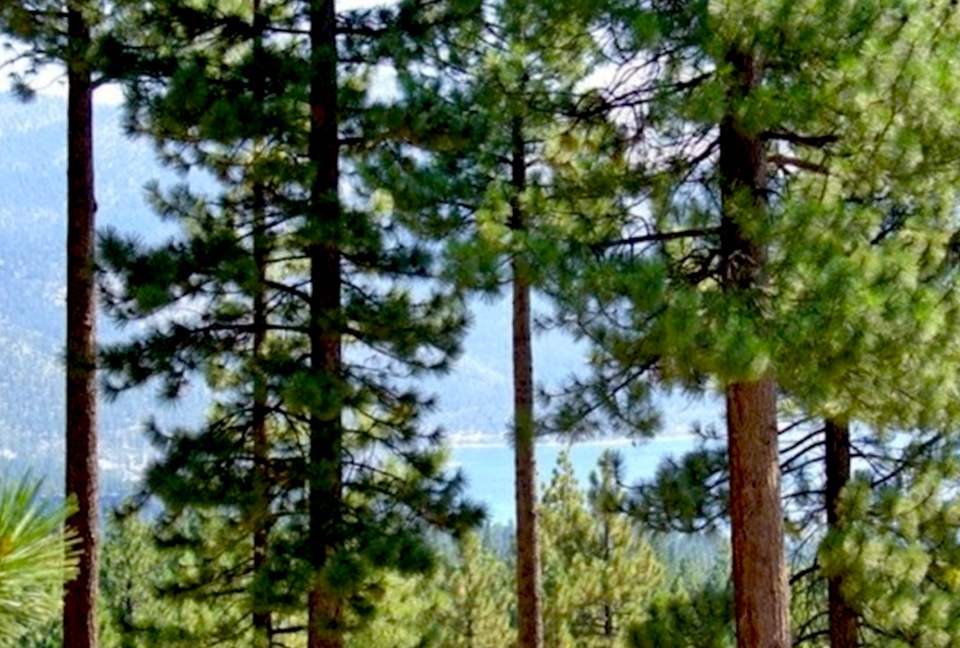 Beautiful Ryan House at Incline Village - Incline Village, Nevada