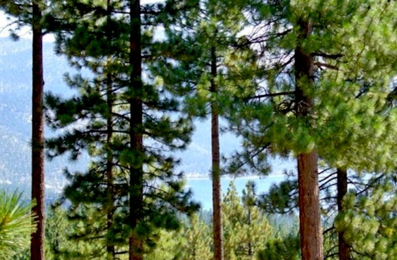 Beautiful Ryan House at Incline Village - Incline Village, Nevada