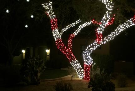 Golfer's Paradise - Scottsdale, Arizona