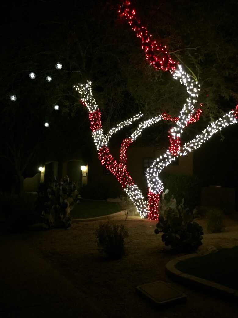 Golfer's Paradise - Scottsdale, Arizona