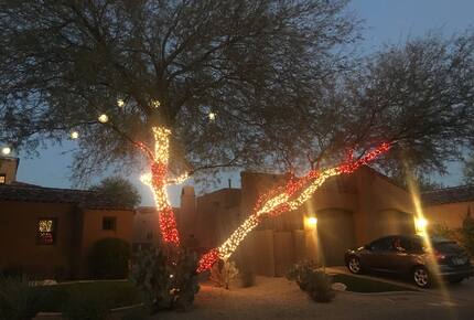 Golfer's Paradise - Scottsdale, Arizona