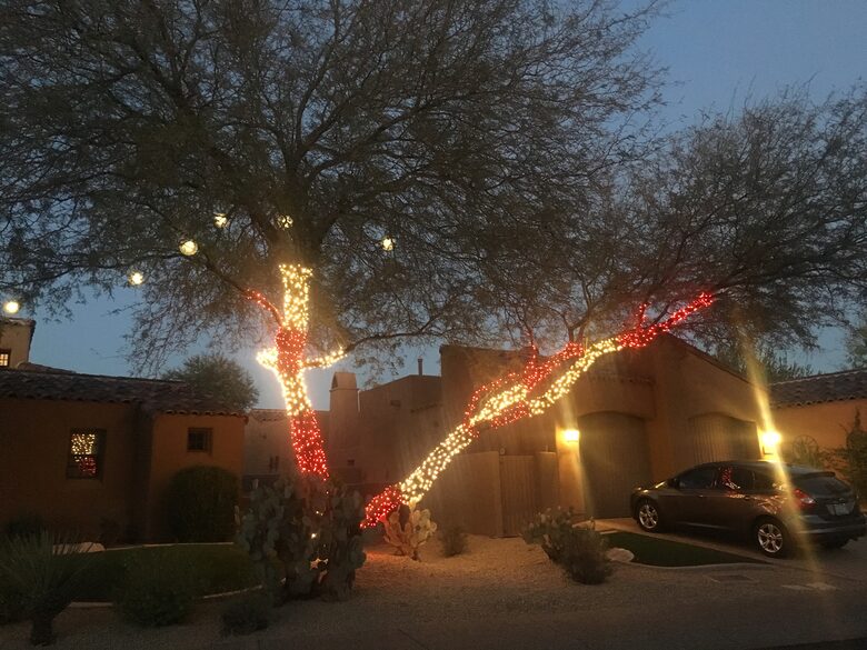 Golfer's Paradise - Scottsdale, Arizona