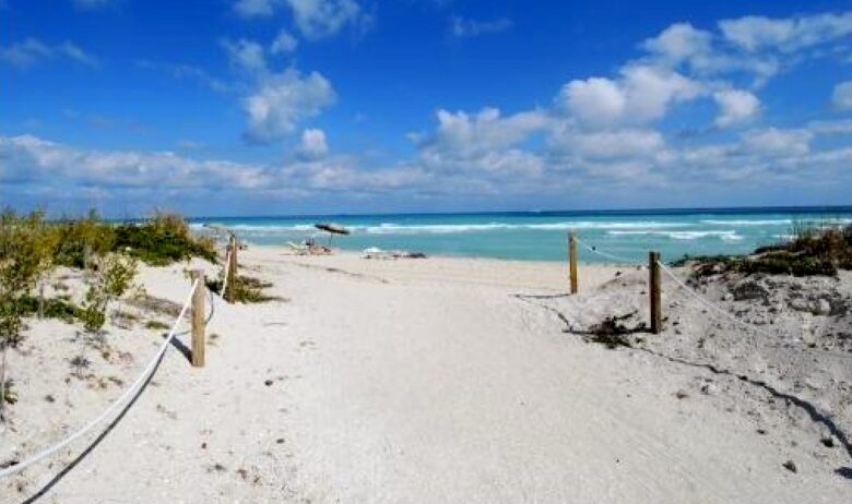 Ocean View Carillon Luxury Wellness Resort - Miami Beach, Florida