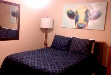 The Lodge at the Orchard - 30 Minutes to Fort Worth! - Azle, Texas