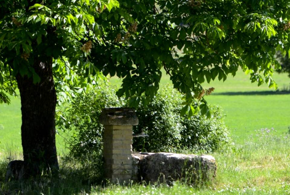 Finca el Cercado - Palencia, Spain