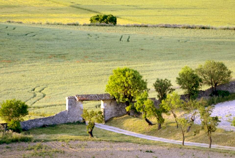 Finca el Cercado - Palencia, Spain