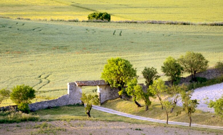Finca el Cercado - Palencia, Spain