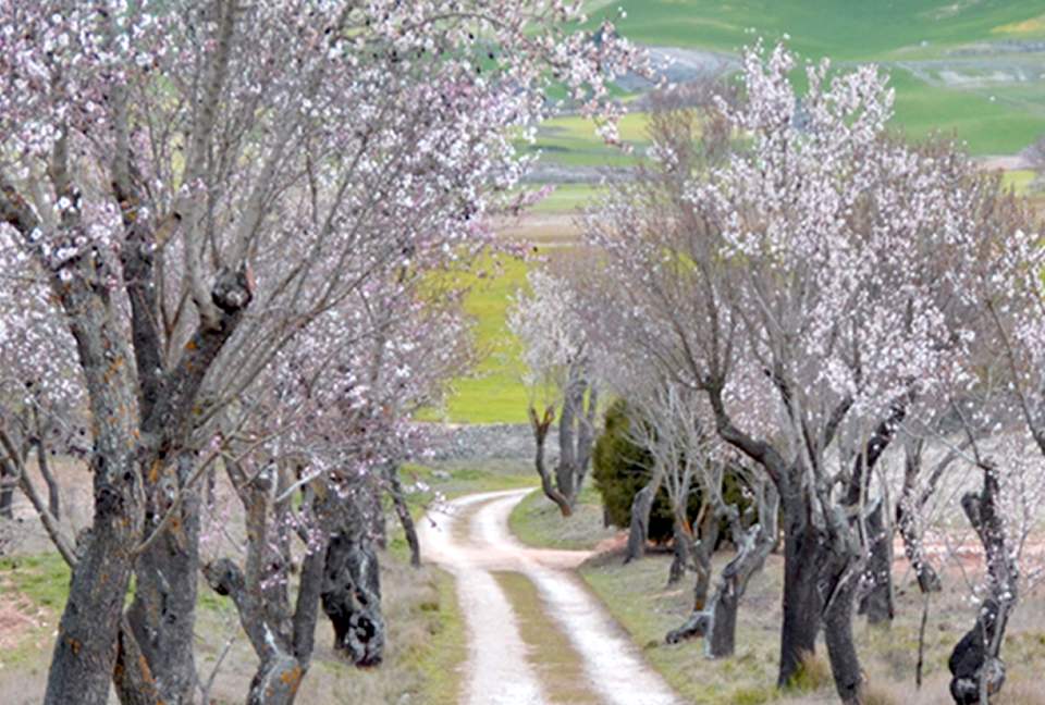 Finca el Cercado - Palencia, Spain