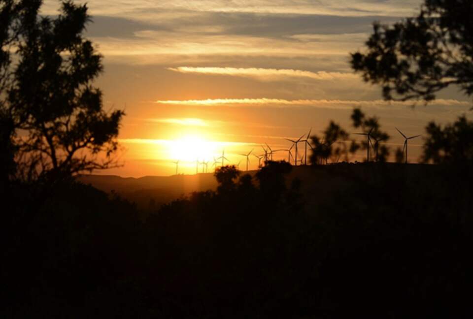 Finca el Cercado - Palencia, Spain
