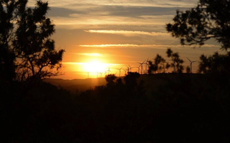Finca el Cercado - Palencia, Spain