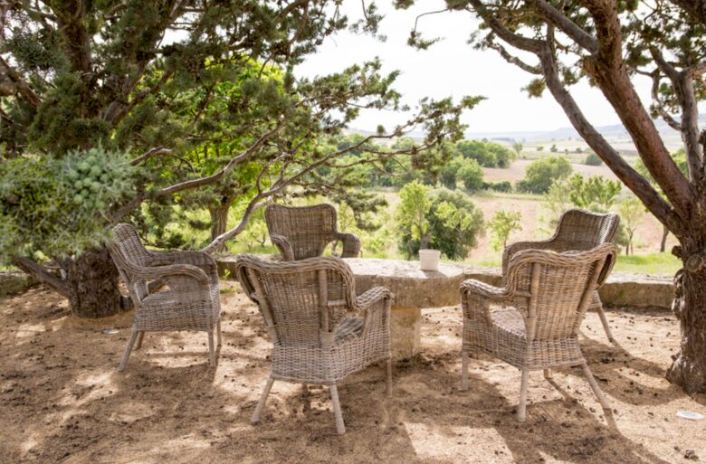 Finca el Cercado - Palencia, Spain