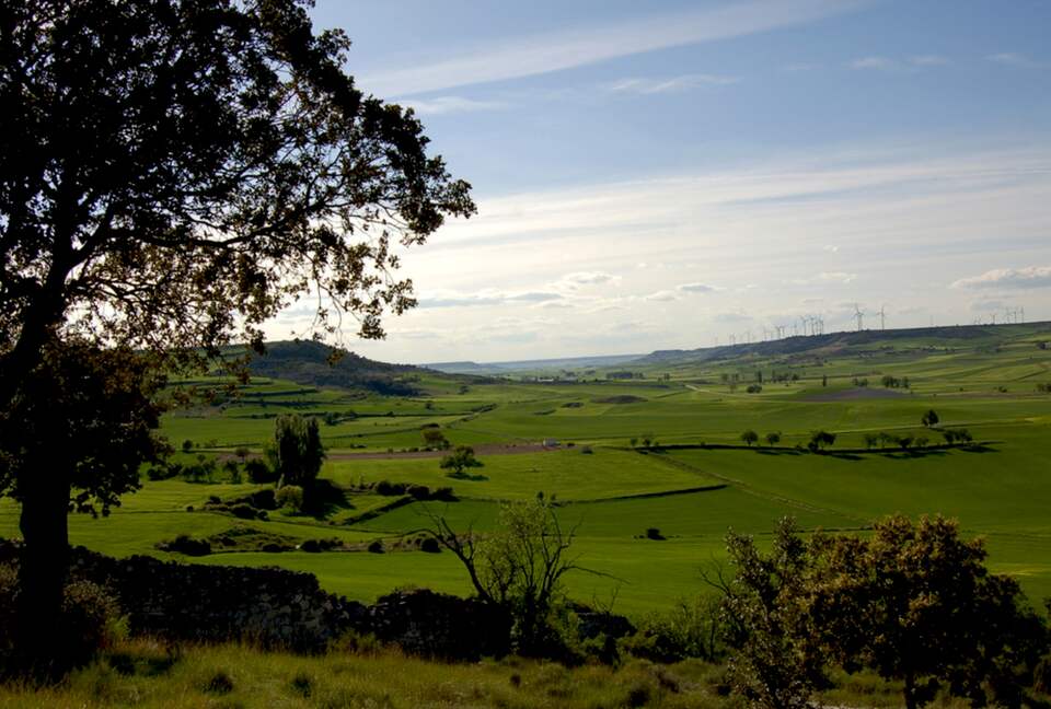 Finca el Cercado - Palencia, Spain