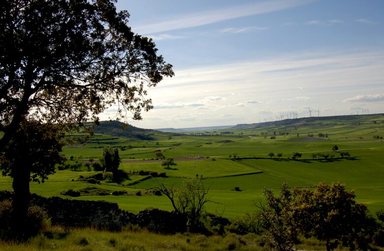 Finca el Cercado - Palencia, Spain
