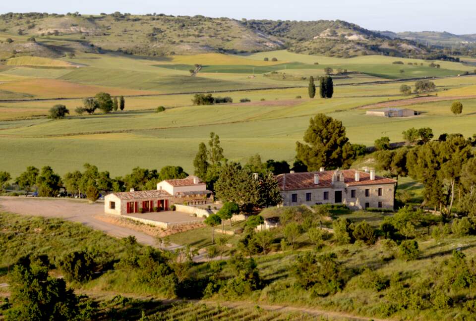 Finca el Cercado - Palencia, Spain
