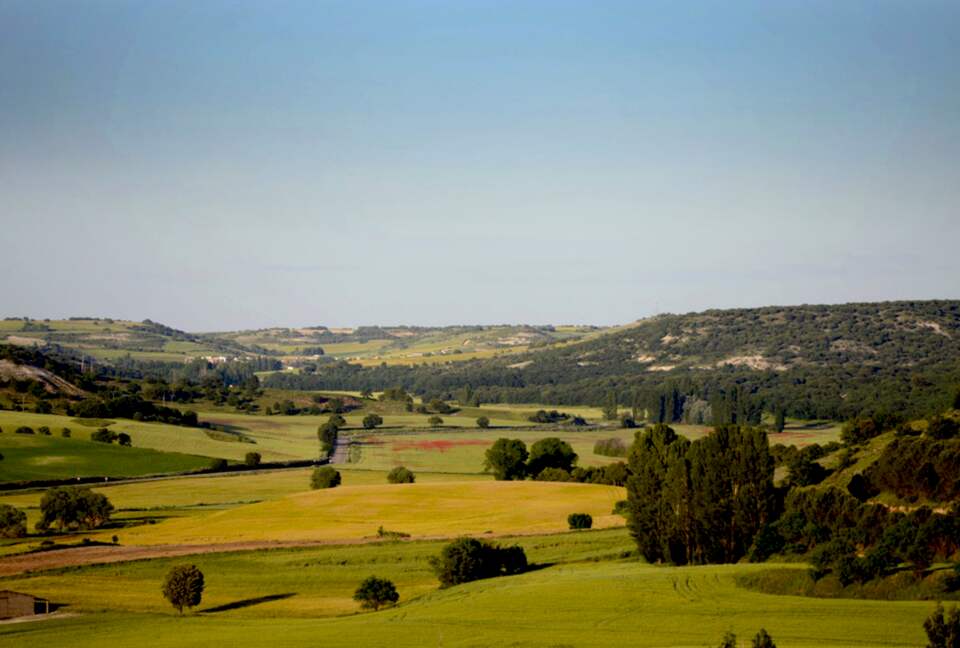Finca el Cercado - Palencia, Spain