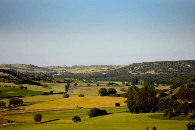 Finca el Cercado - Palencia, Spain