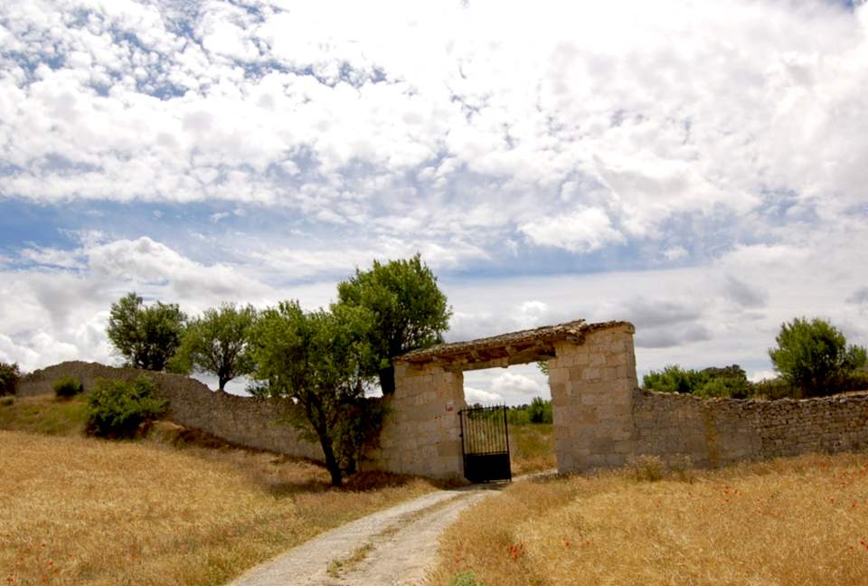 Finca el Cercado - Palencia, Spain