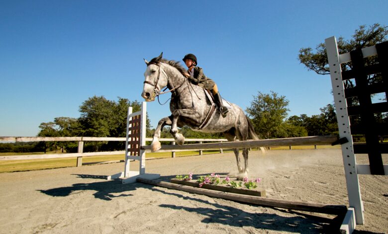 Frederica Golf Club - Four Bedroom Luxury Cottages - Saint Simons Island, Georgia